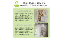 本物の花の香り&nbsp;リード・ディフューザー【プルメリア】