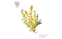 本物の花の香り&nbsp;リード・ディフューザー【ミモザ】