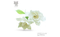 本物の花の香り&nbsp;リード・ディフューザー【クチナシ】