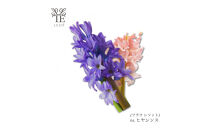 本物の花の香り&nbsp;リード・ディフューザー【ヒヤシンス】