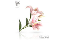 本物の花の香り&nbsp;リード・ディフューザー【リリー】