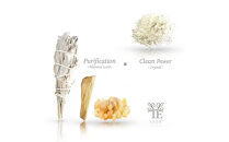 空間浄化【&nbsp;アロマ&nbsp;ディフューザー&nbsp;】清めレソット.