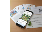 Greenery&nbsp;Gift（福祉のギフト）メッセージカードタイプ（3,000円分）