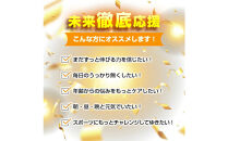 アルファGPC&nbsp;サプリメント&nbsp;約2ヶ月分&nbsp;宝蔵メディカル