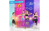 ターミナリアベレリカ&nbsp;サプリ&nbsp;約4ヶ月分&nbsp;宝蔵メディカル