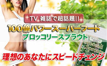 ブロッコリースプラウト&nbsp;サプリメント&nbsp;約4ヶ月分&nbsp;宝蔵メディカル