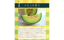 やるJAん横浜メロンサワー&nbsp;350ml×24本