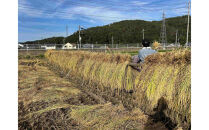 天日干し　特別栽培米　白米５kg