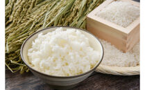 日光ダイヤ舞&nbsp;1年目&nbsp;白米5キロ&nbsp;有機栽培&nbsp;農薬不使用&nbsp;コシヒカリ&nbsp;令和7年度米&nbsp;｜&nbsp;お米&nbsp;有機栽培&nbsp;無農薬&nbsp;コシヒカリ&nbsp;栃木県&nbsp;日光市