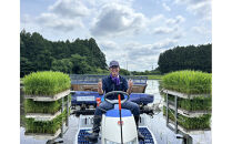 日光ダイヤ舞&nbsp;1年目&nbsp;玄米5キロ&nbsp;有機栽培&nbsp;農薬不使用&nbsp;こしひかり&nbsp;令和7年度米&nbsp;&nbsp;｜&nbsp;お米&nbsp;有機栽培&nbsp;無農薬&nbsp;コシヒカリ&nbsp;栃木県&nbsp;日光市