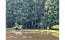 日光ダイヤ舞&nbsp;1年目&nbsp;玄米5キロ&nbsp;有機栽培&nbsp;農薬不使用&nbsp;こしひかり&nbsp;令和7年度米&nbsp;&nbsp;｜&nbsp;お米&nbsp;有機栽培&nbsp;無農薬&nbsp;コシヒカリ&nbsp;栃木県&nbsp;日光市