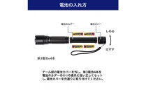 大光量アルミライト1100LM　DOP-EP1100
