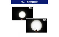 大光量アルミライト1100LM　DOP-EP1100