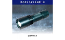 大光量アルミライト1000LM　DOP-EP1000