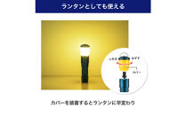 大光量アルミライト1000LM　DOP-EP1000