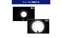 大光量アルミライト1000LM　DOP-EP1000