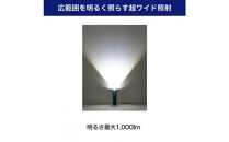 大光量アルミライト1000LM　DOP-EP1000