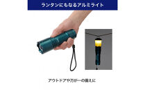 大光量アルミライト1000LM　DOP-EP1000