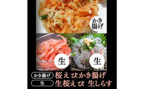 生桜えび、生しらす、桜えびかき揚げセット【配送不可：離島】