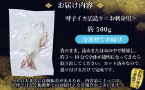呼子イカ姿造り500ｇ