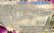 呼子イカ姿造り700ｇ