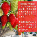 《限定2月発送》朝採り同日出荷&nbsp;イチゴ　御前崎産かおり野　1kg(250g×4パック)