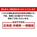 家庭用&nbsp;紀州南高梅(青梅)1kg+250g（傷み補償分）【梅干し・梅酒・梅ジュース】【訳あり】［IKE315］