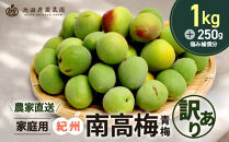 家庭用&nbsp;紀州南高梅(青梅)1kg+250g（傷み補償分）【梅干し・梅酒・梅ジュース】【訳あり】［IKE315］