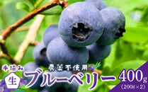 【農薬不使用】&nbsp;手摘み生ブルーベリー&nbsp;400g