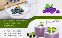 【農薬不使用】&nbsp;手摘み生ブルーベリー&nbsp;400g