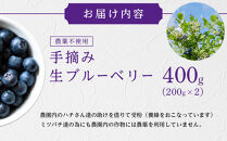 【農薬不使用】&nbsp;手摘み生ブルーベリー&nbsp;400g