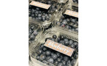 【農薬不使用】&nbsp;手摘み生ブルーベリー&nbsp;1kg