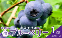 【農薬不使用】&nbsp;手摘み生ブルーベリー&nbsp;1kg