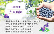 【農薬不使用】&nbsp;手摘み生ブルーベリー&nbsp;1kg