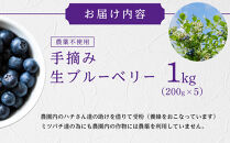 【農薬不使用】&nbsp;手摘み生ブルーベリー&nbsp;1kg