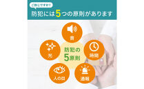 ドーム型カメラ　TBC-DC300