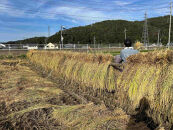 天日干し　特別栽培米　白米１０kg