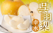 【先行予約・2026年8月25日～9月10日に発送】呉羽梨（くれはなし）5kg箱