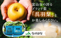 【先行予約・2026年8月25日～9月10日に発送】呉羽梨（くれはなし）5kg箱