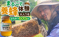  おすすめ 1282.[要予約 大人1名様用]あんどう養蜂 まるごと養蜂体験(約3時間)はちみつ600g付き