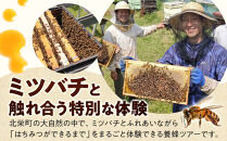 1282.【要予約&nbsp;大人1名様用】あんどう養蜂&nbsp;まるごと養蜂体験（約3時間）はちみつ600g付き