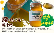 1282.【要予約&nbsp;大人1名様用】あんどう養蜂&nbsp;まるごと養蜂体験（約3時間）はちみつ600g付き