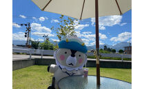 【3体限定】大町市の公式ゆるキャラ&nbsp;巨大おおまぴょん