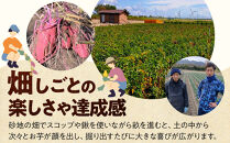 1284.【要予約&nbsp;大人1名様用】北栄町&nbsp;お芋収穫体験　長芋・ねばりっこ・とっくり芋・里芋・さつまいも　掘ったお芋5kg付き