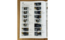 3WAY焚火BOX和柄&nbsp;スタンダードセット