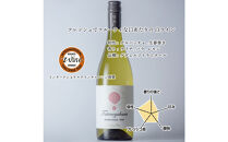 立野原ゲヴェルツトラミネール&nbsp;2024&nbsp;ワイナリー風景ポチ袋5枚セット付き