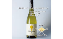 立野原シャルドネ樽熟成&nbsp;2023&nbsp;ワイナリー風景ポチ袋5枚セット付き