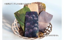 立野原メルロー樽熟成&nbsp;2023&nbsp;ワイナリー風景ポチ袋5枚セット付き