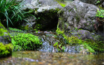 能登町産　特別栽培米　能登コシヒカリ（精米）　5kg