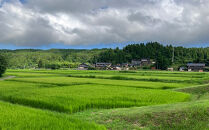 能登町産　特別栽培米　能登コシヒカリ（精米）　5kg×2袋